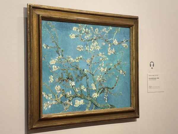 Ametller florit van Gogh