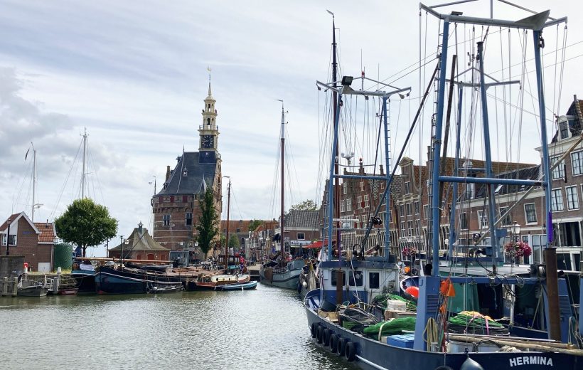 Hoorn